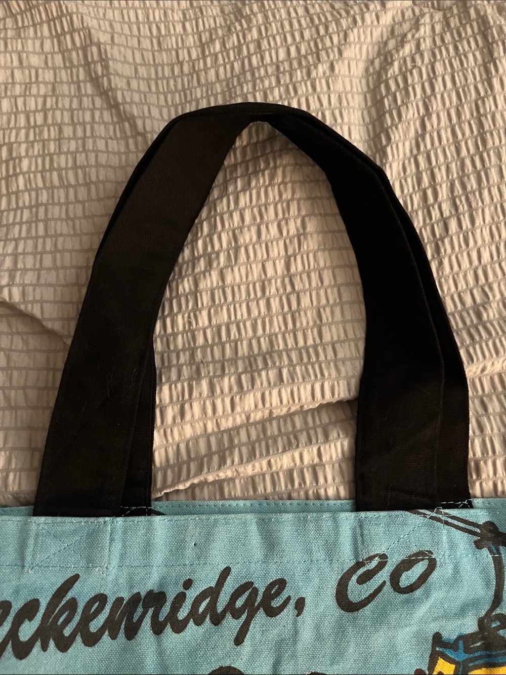 Breckenridge Colorado Scenic Canvas Tote Bag Mountain Resort Souvenir - Picture 3 of 14